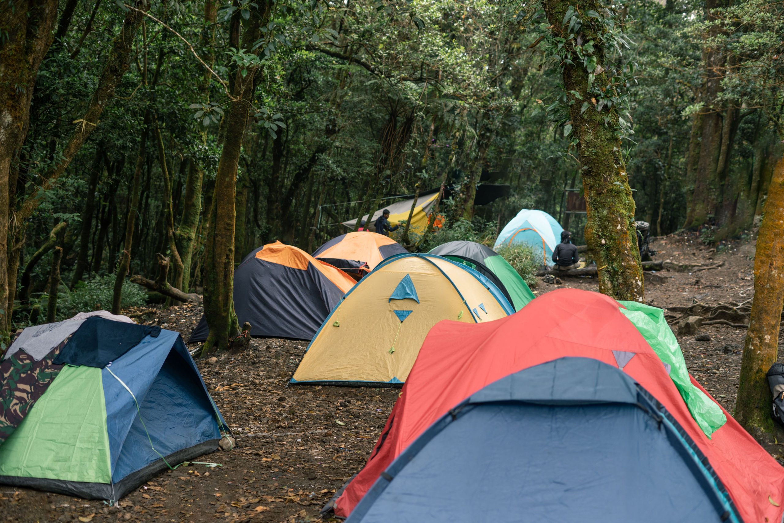 Tentes colorées campement foret cadre naturel